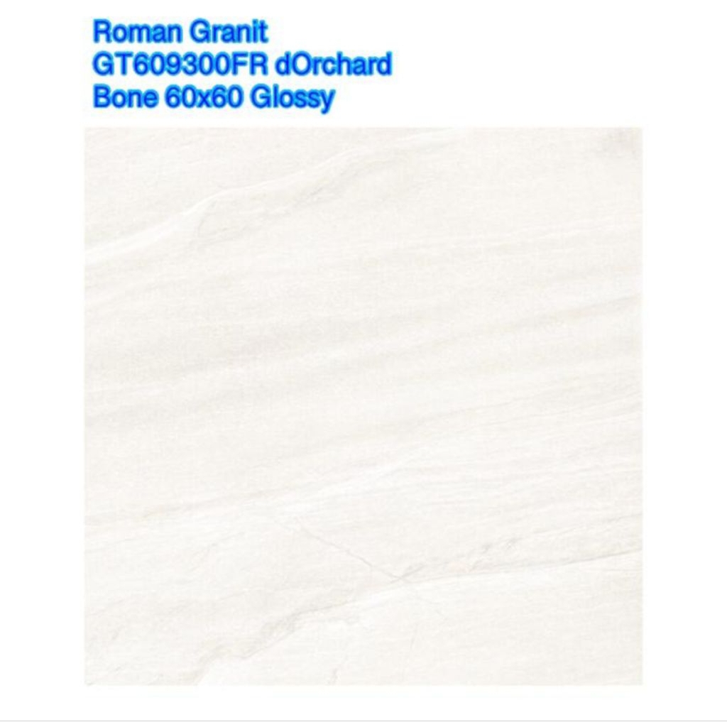 Roman Granit dOrchard Bone size 60x60 kw1