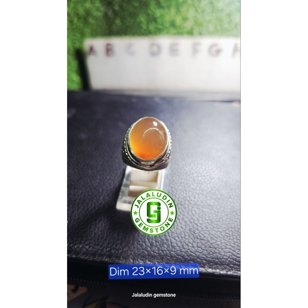 bacan OBI nukleus +Bonus
