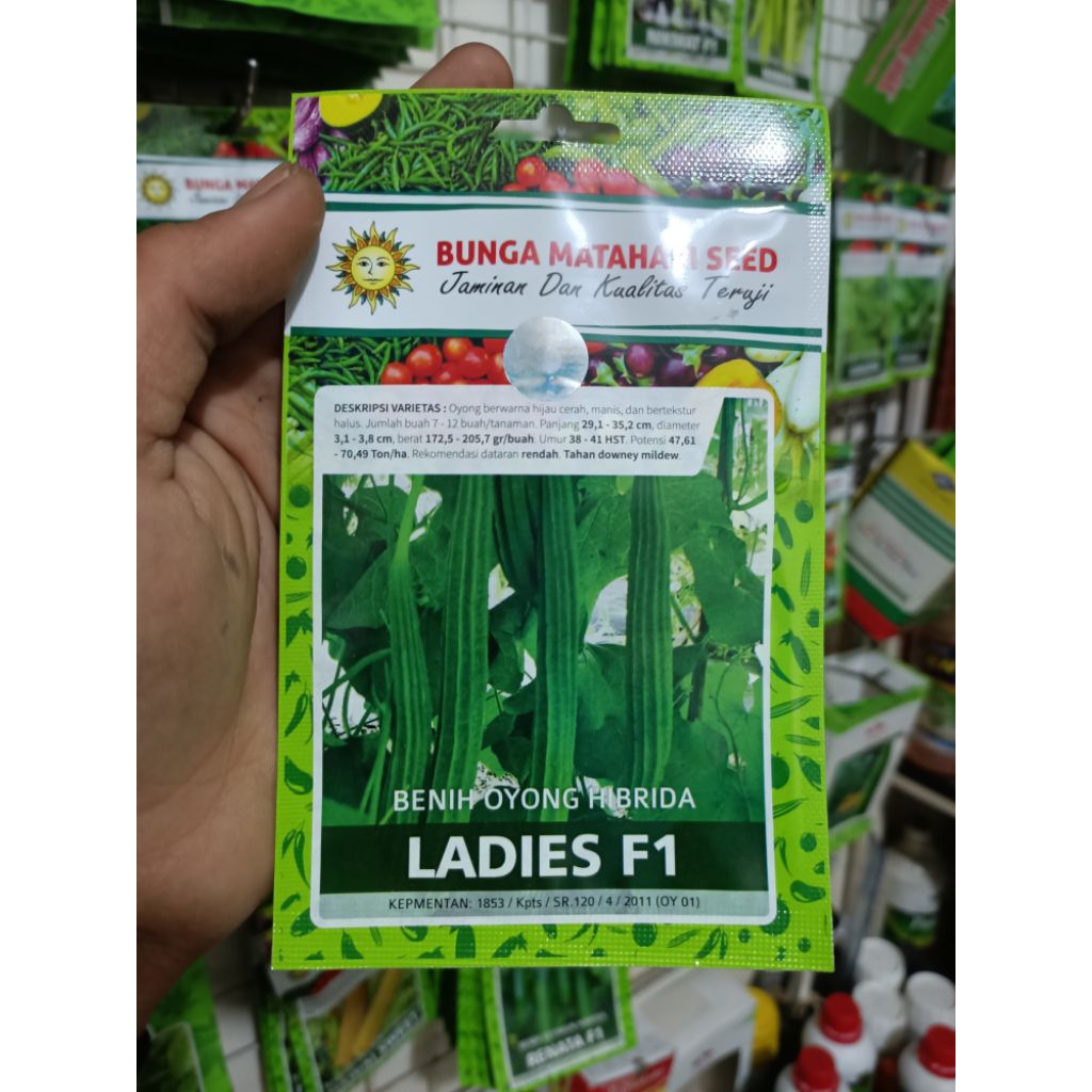 BENIH GAMBAS/OYONG LADIES F1