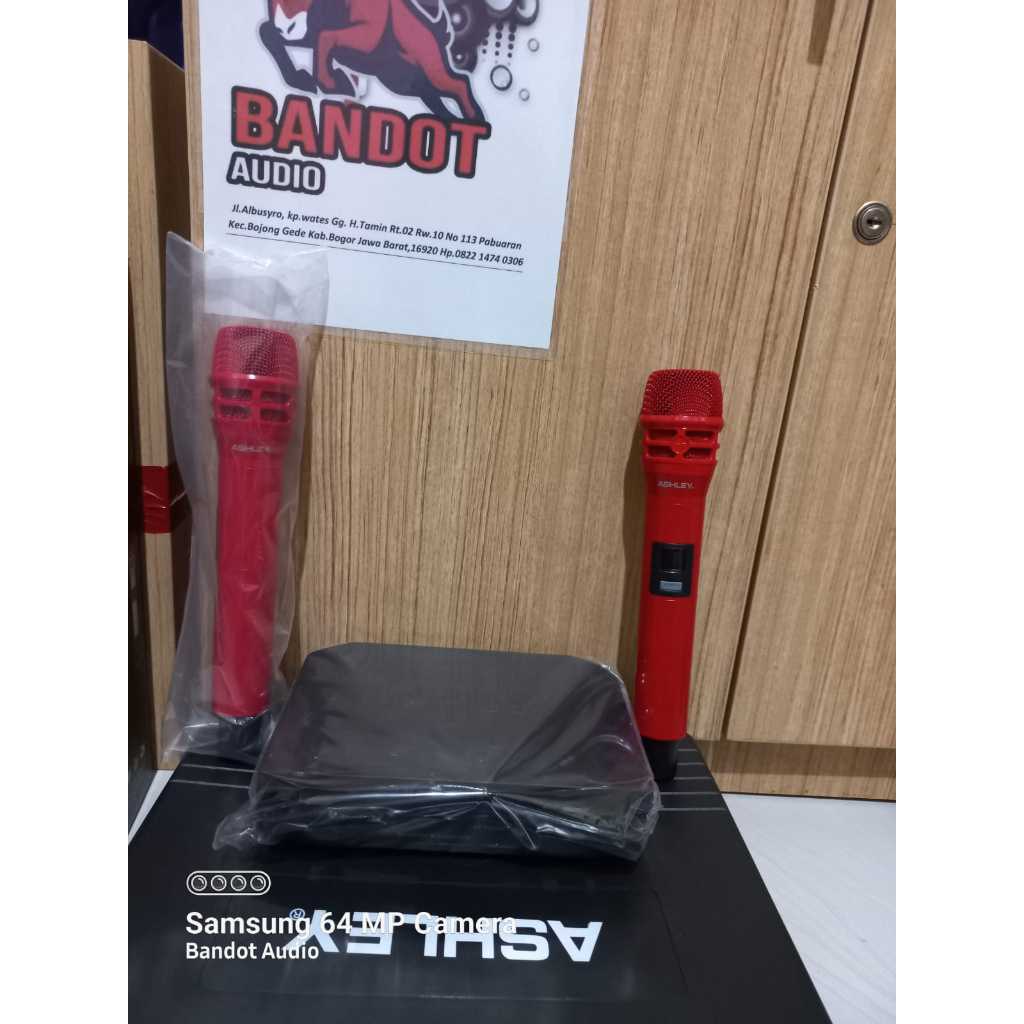 Mic Wireless Ashley Pro Voice