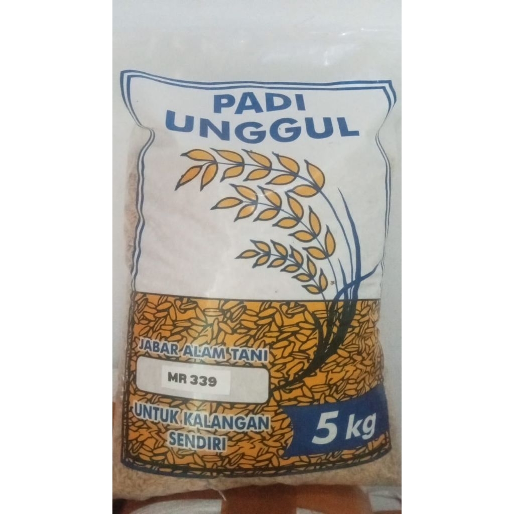 benih padi jenis mr339 5kg