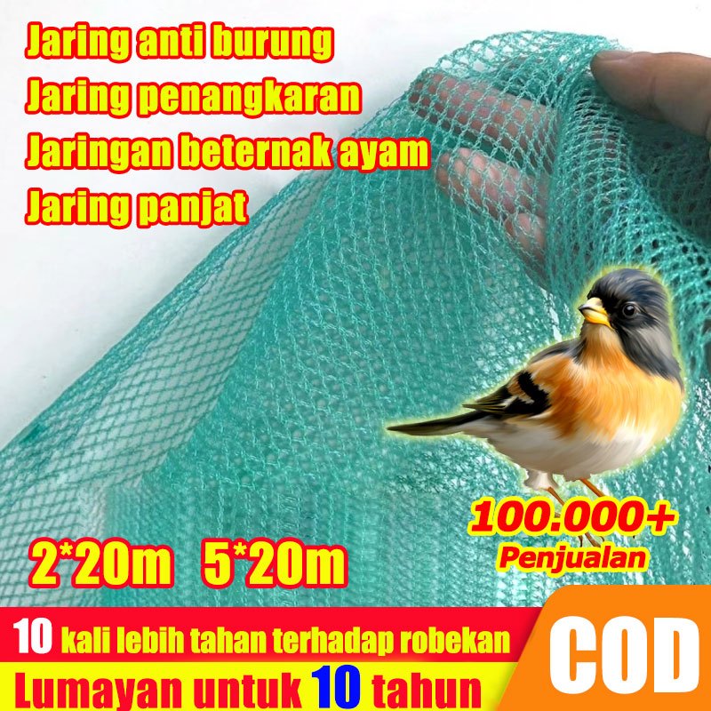 Lumayan untuk 10 tahun JARING AYAM JARING PAGAR AYAM JARING PAGAR KEBUN JARING PAGAR PETANI JARING K