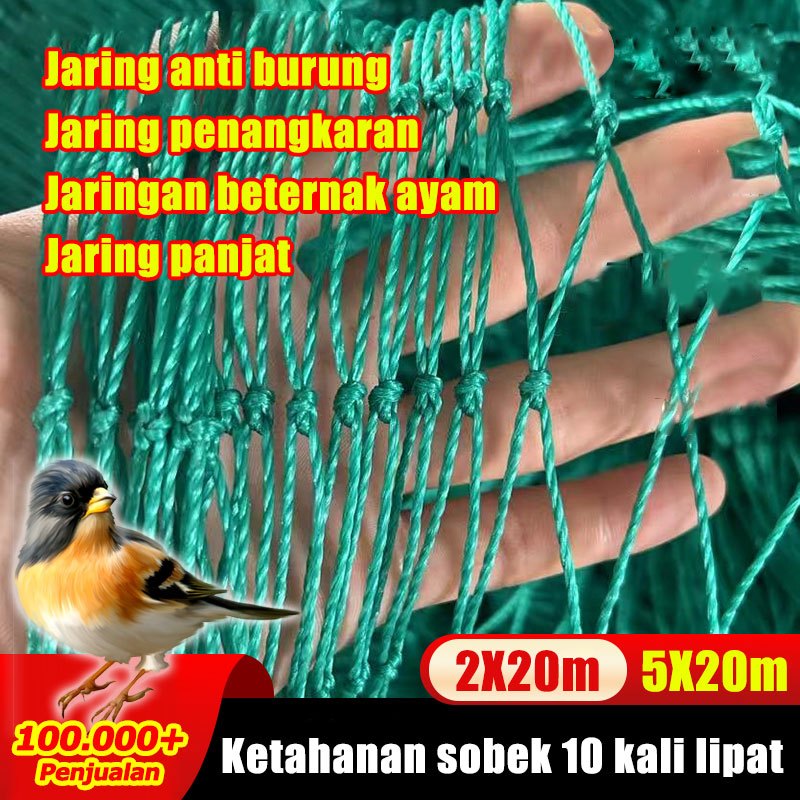Lumayan untuk 10 tahun JARING AYAM JARING PAGAR AYAM JARING PAGAR KEBUN JARING PAGAR PETANI JARING K