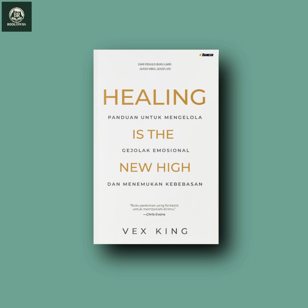 Healing is The New High - Vex King