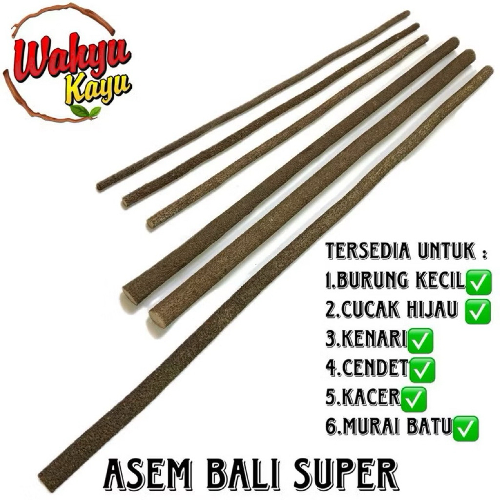Tangkringan Asem Bali Super Terbaik Ternyaman