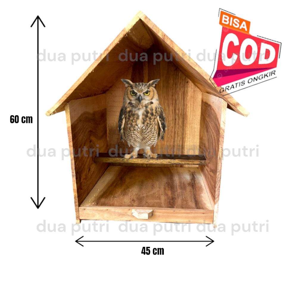 RUMAH BURUNG HANTU flak kaka tua