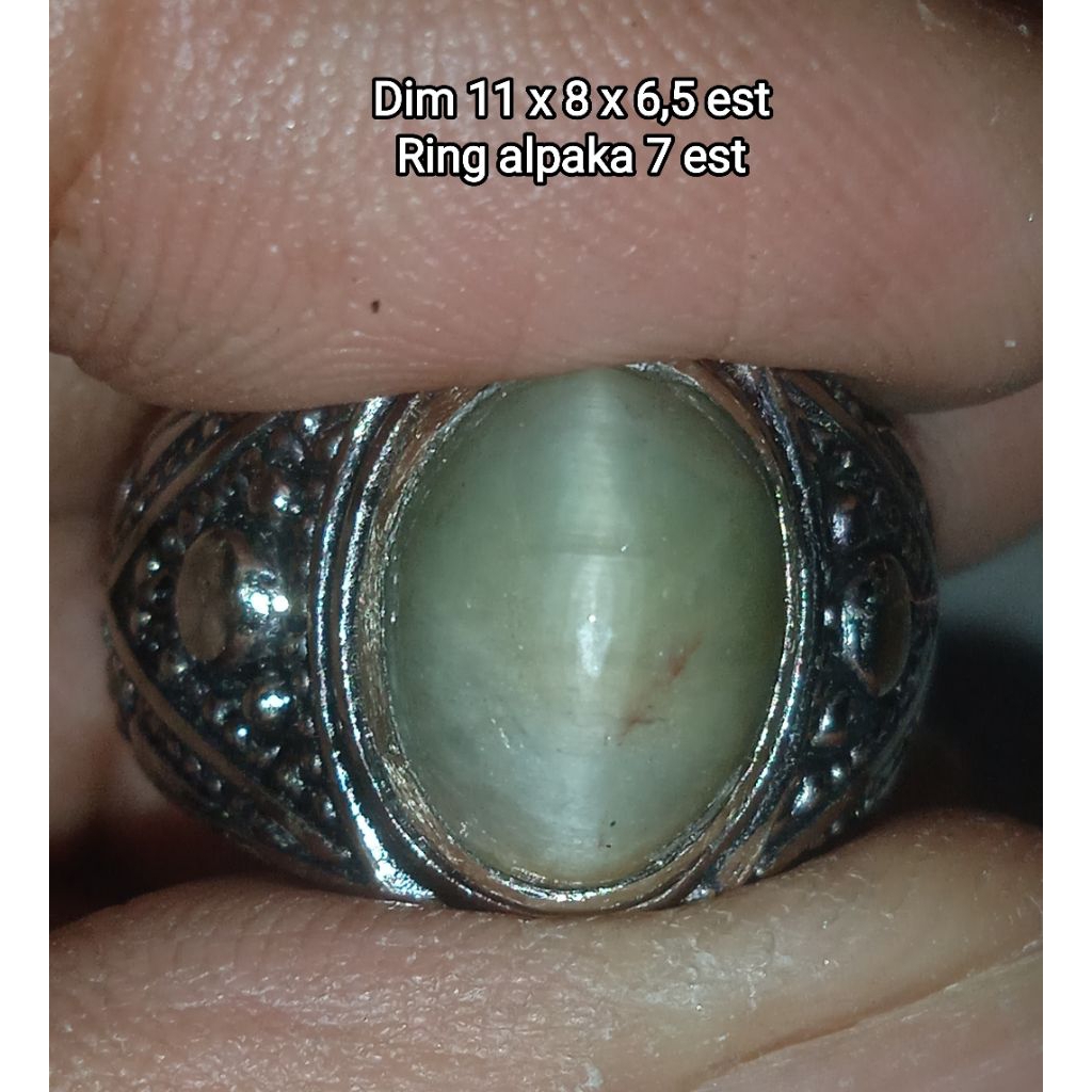 NATURAL ACTINOLITE CAT'S EYE / CAT'S EYE PANDAN