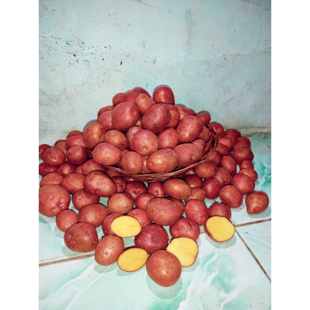 kentang merah Dieng fresh ukuran sedang-besar per 1 KG kaya manfaat