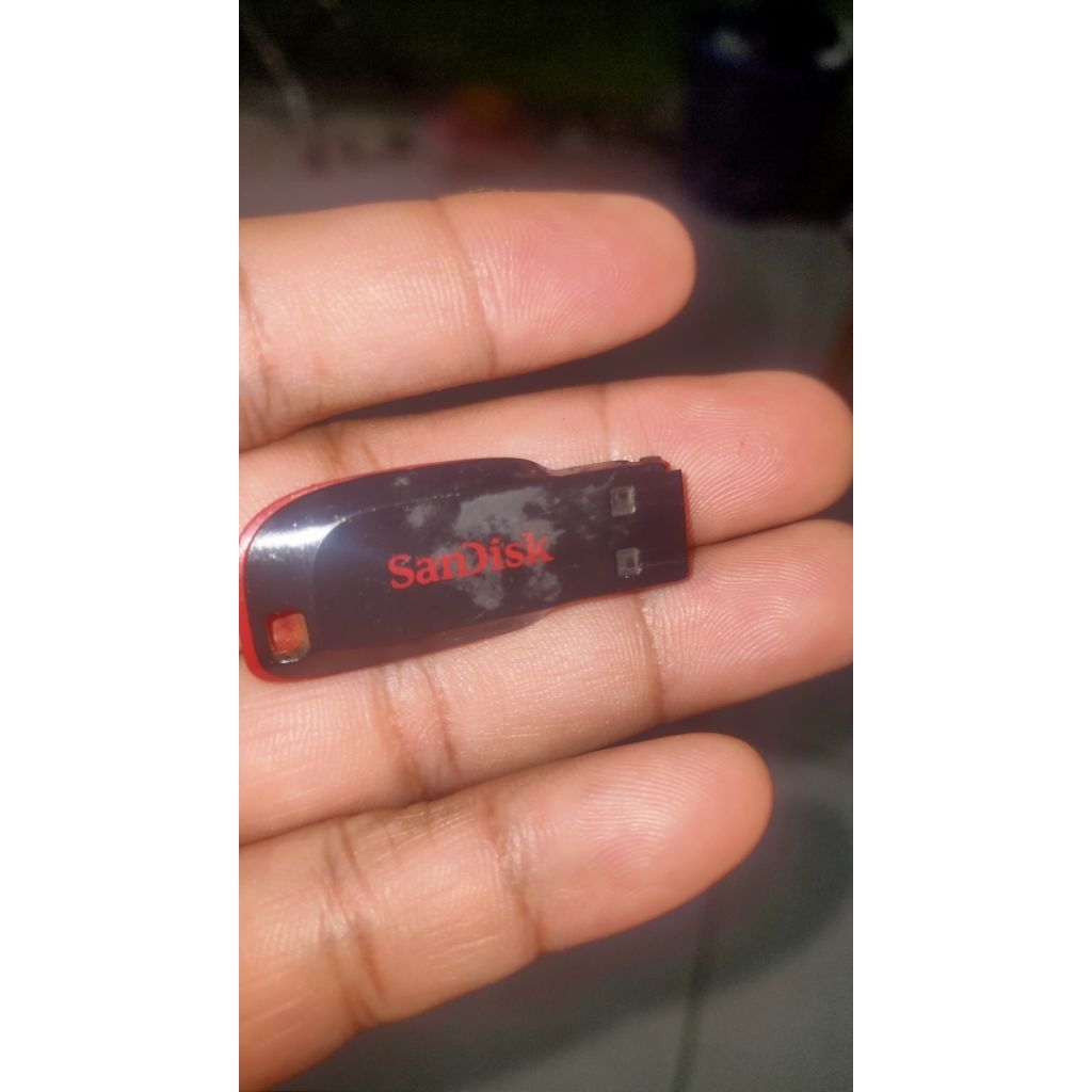 FLASHDISK SANDISK 8GB