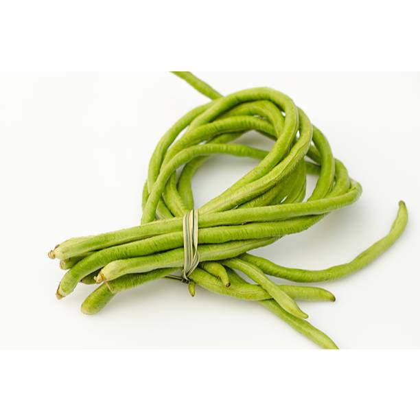 Biji Bibit Benih Bibit Kacang Panjang Unggul