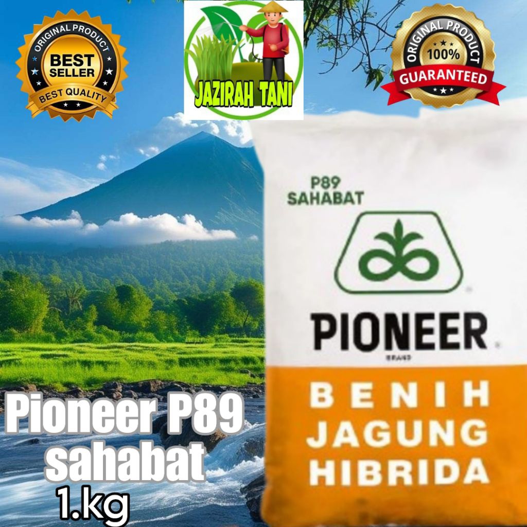 BENIH JAGUNG PIONEER /P.89 SAHABAT