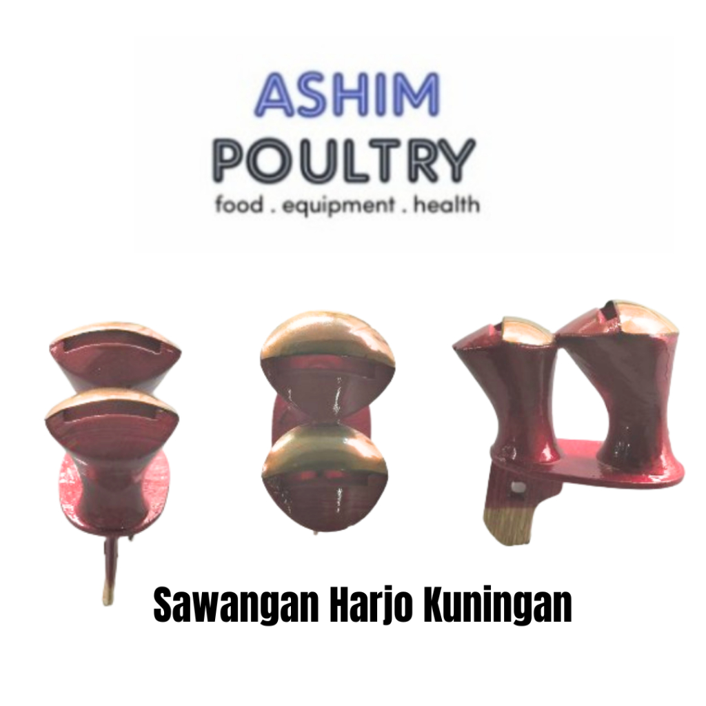 Sawangan merpati harjo kuningan