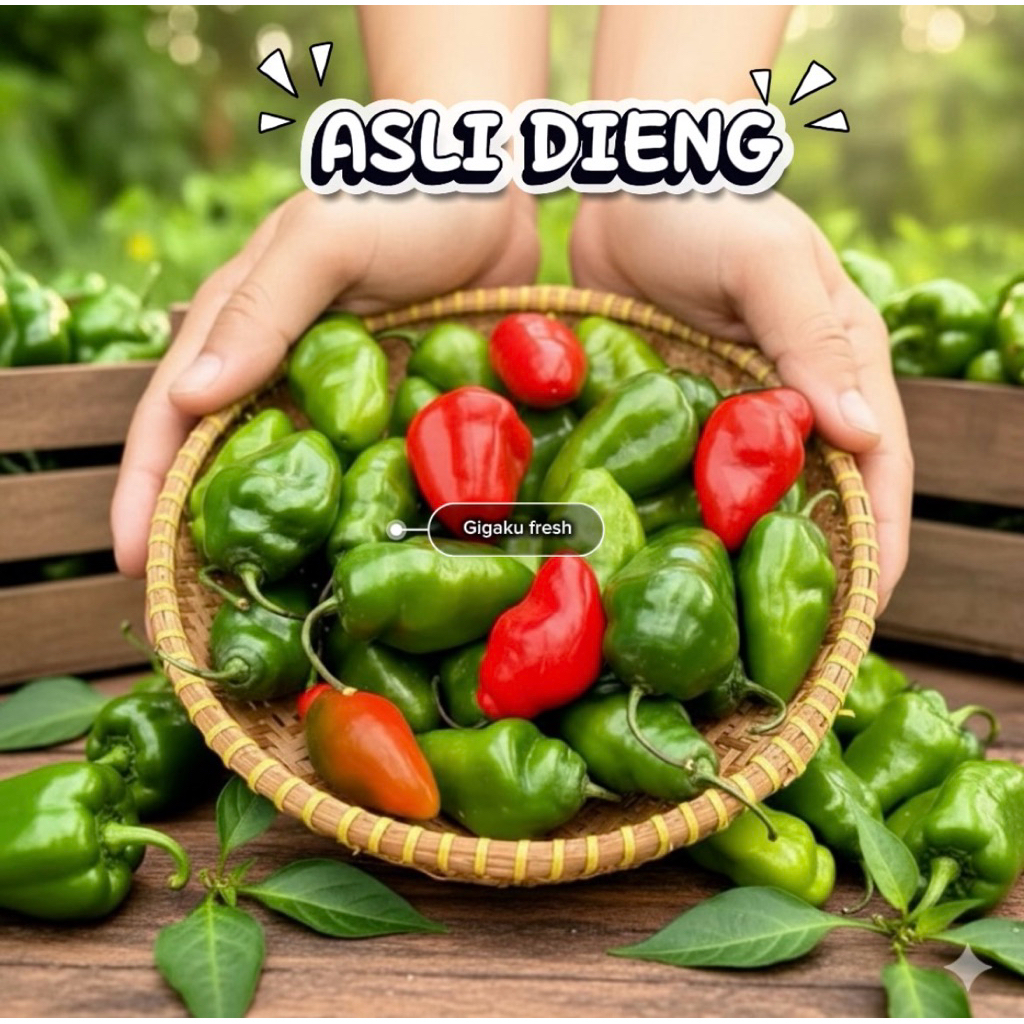 cabai gendot segar dieng