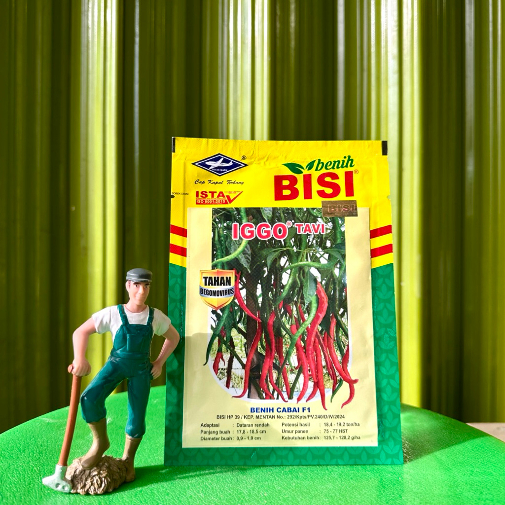 Benih Cabai Keriting IGGO TAVI F1 isi 2000 Butir - Bibit Cabe IGGO TAVI F1 Cap Kapal Terbang