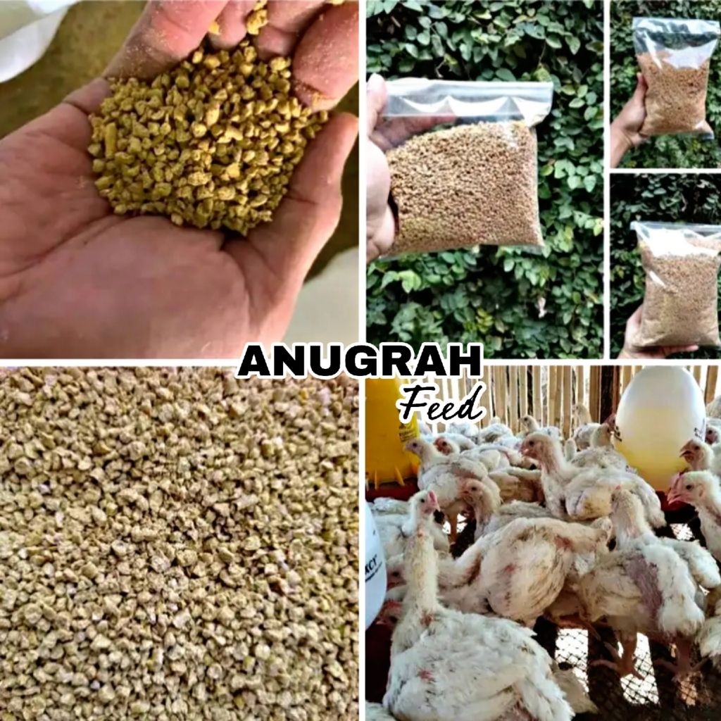 Paket Hemat 10kg Pur Ayam Pedaging Bikin Ayam Cepat Besar ANUGRAH FEED