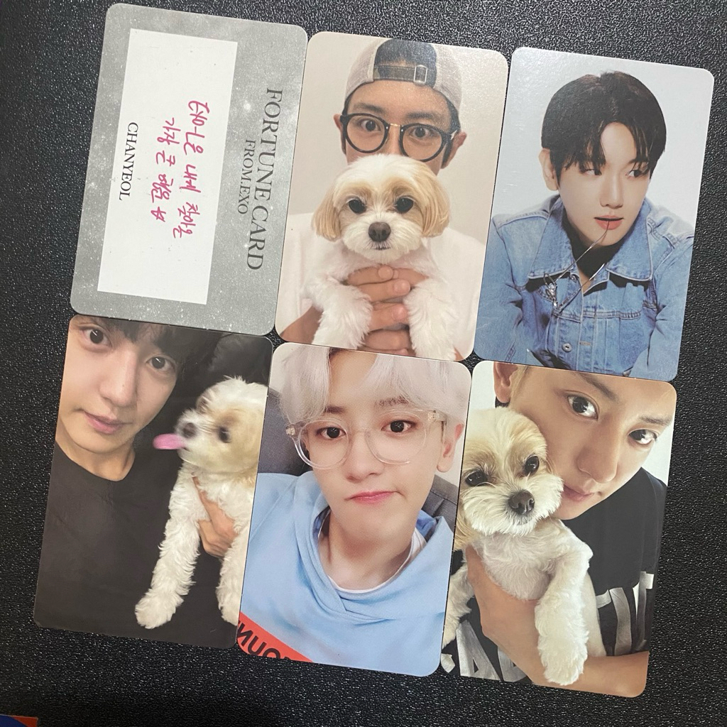 Official Photocard Chanyeol Zzar Take All (Mumo Japan, Album Upside Down , Album Black Out)