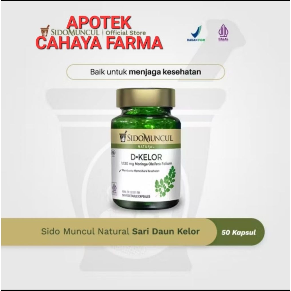 sidomuncul daun kelor