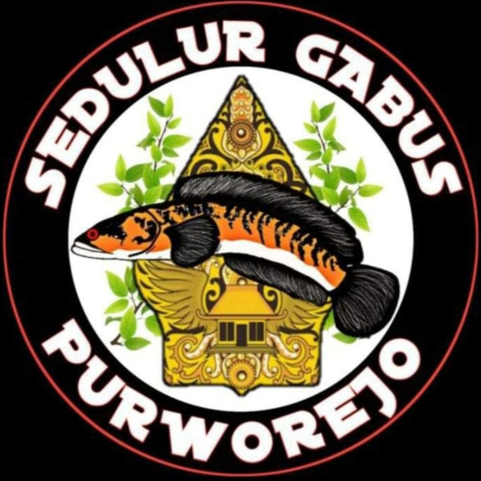 Fermentasi Ekstrak Daun Ketapang untuk limbata Slayer Kumis X Blorok (Single tank)