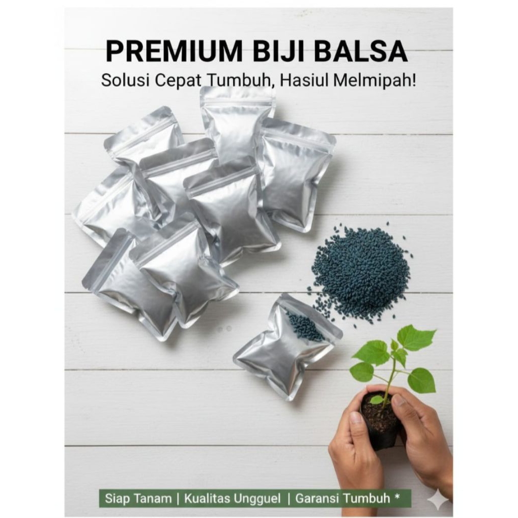 Biji Benih Bibit Kayu Balsa F1 Super ( Isi 10.000 ) Sepuluh Ribu Biji 100% Terjamin Tumbuh