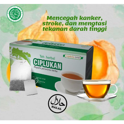 Herbal Teh Ciplukan / Berkhasiat Ampuh Mengobati Diabetes Gula Darah dg Teh ciplukan Original