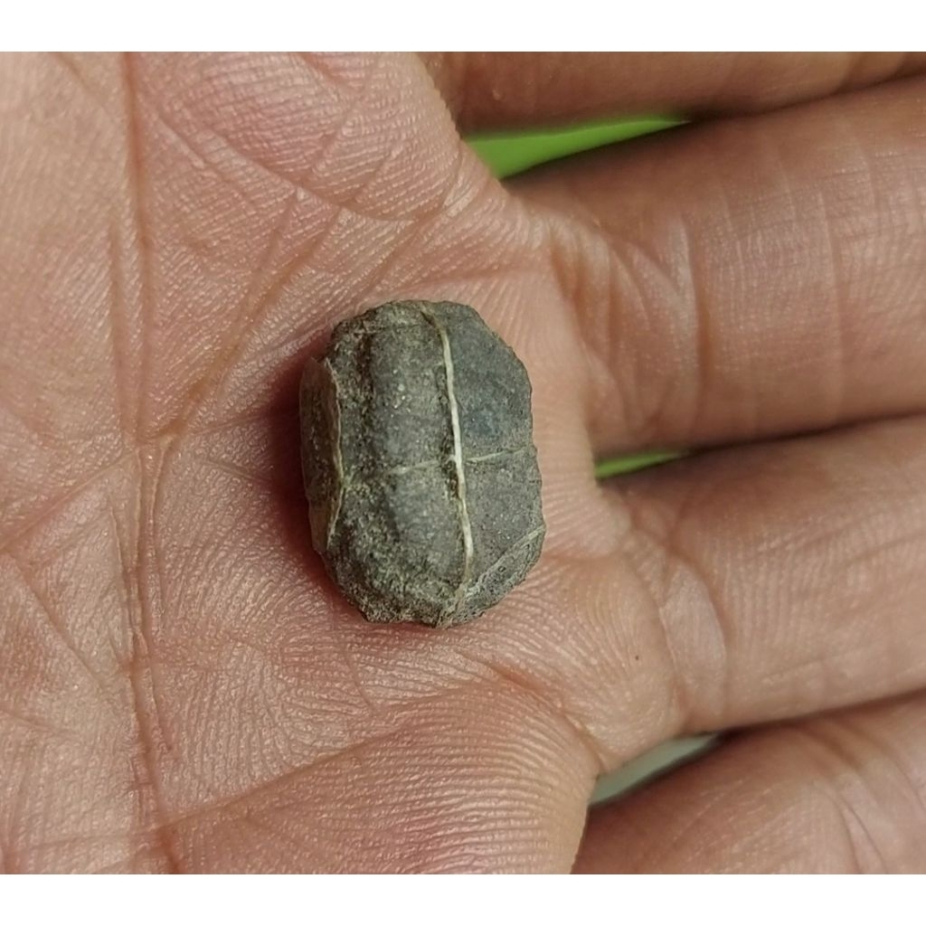 batu tapak jalak benang emas rajo