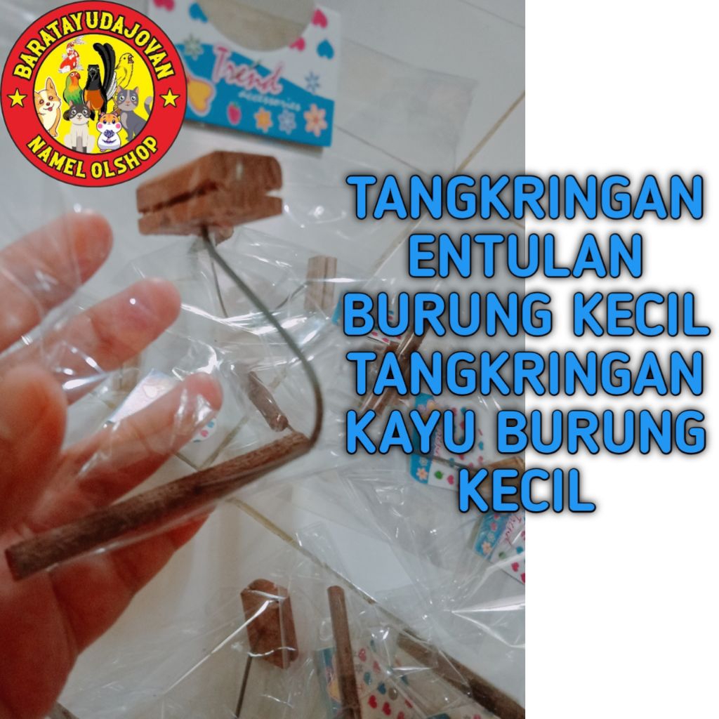 TANGKRINGAN ENTULAN BURUNG KECIL TANGKRINGAN KAYU