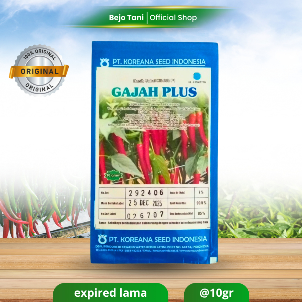 Benih Cabe GAJAH PLUS F1 10gr Original KOREANA SEED Tahan Layu Bakteri dan Buah Besar