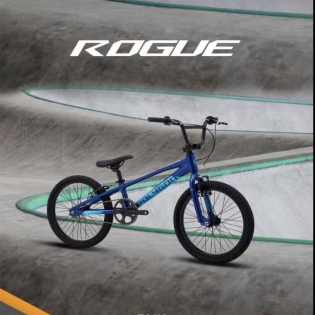 Sepeda BMX Anak Laki Laki 20 inch POLYGON ROGUE
