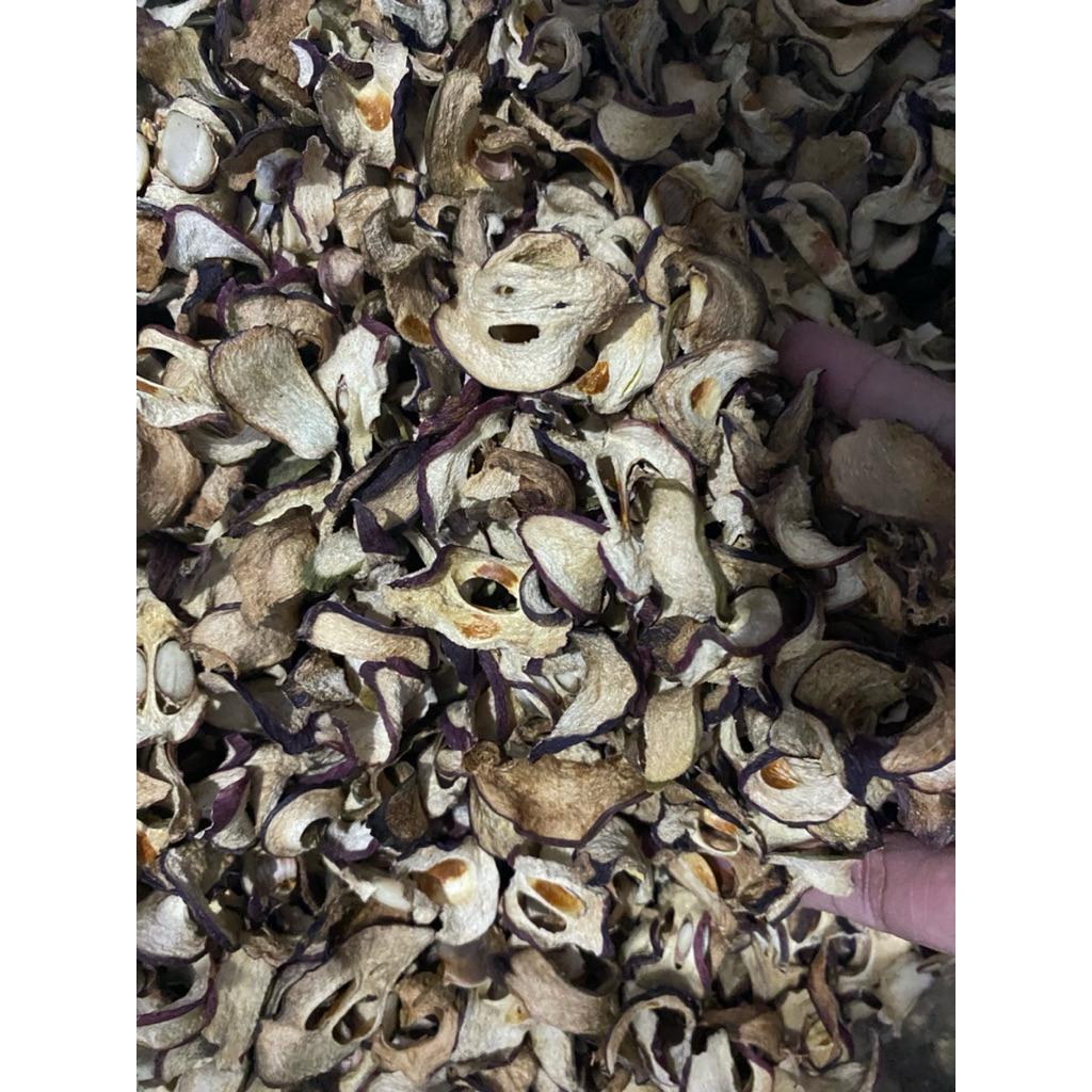 mahkota dewa kering 1 kg/herbal mahkota dewa iris kering