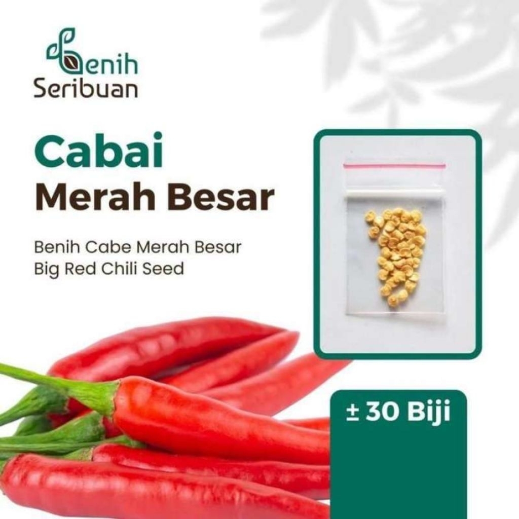Benih Cabai Merah Besar ±30 Biji | Cabe Merah Jumbo Pedas & Produktif