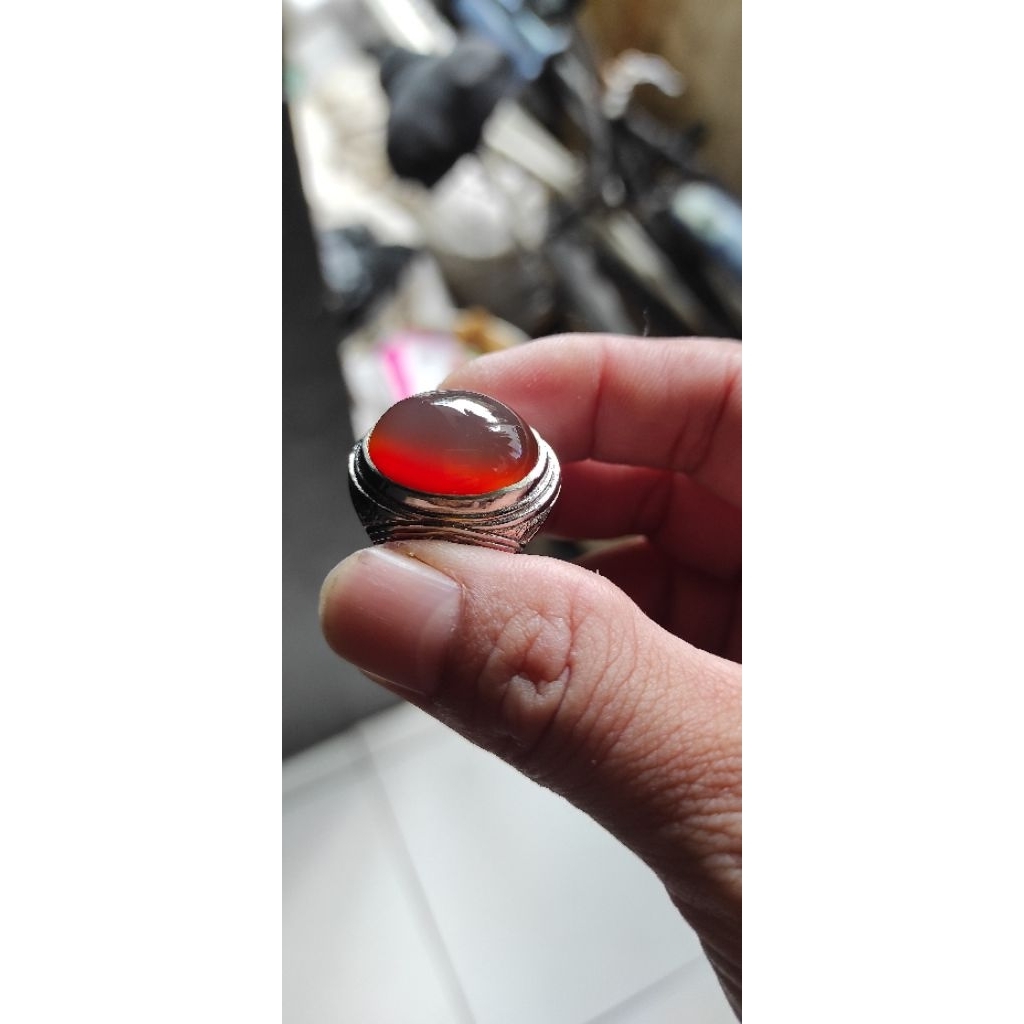 batu nukleus alas merah