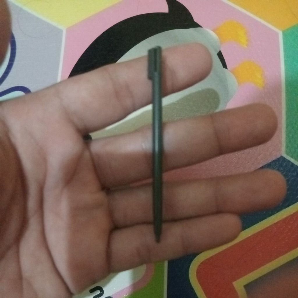 pen for nintendo dsFat