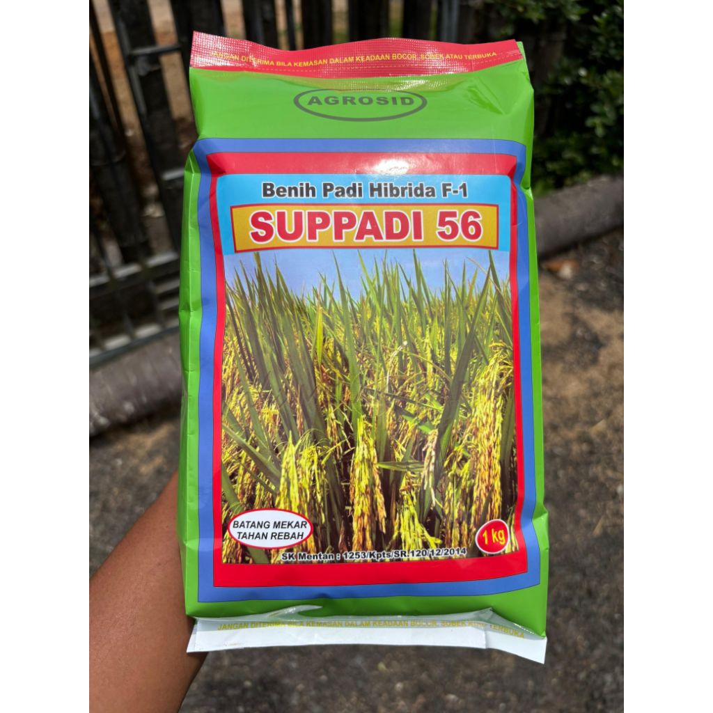 BENIH PADI HIBRIDA SUPADI 56 ORIGINAL Exp 05/26