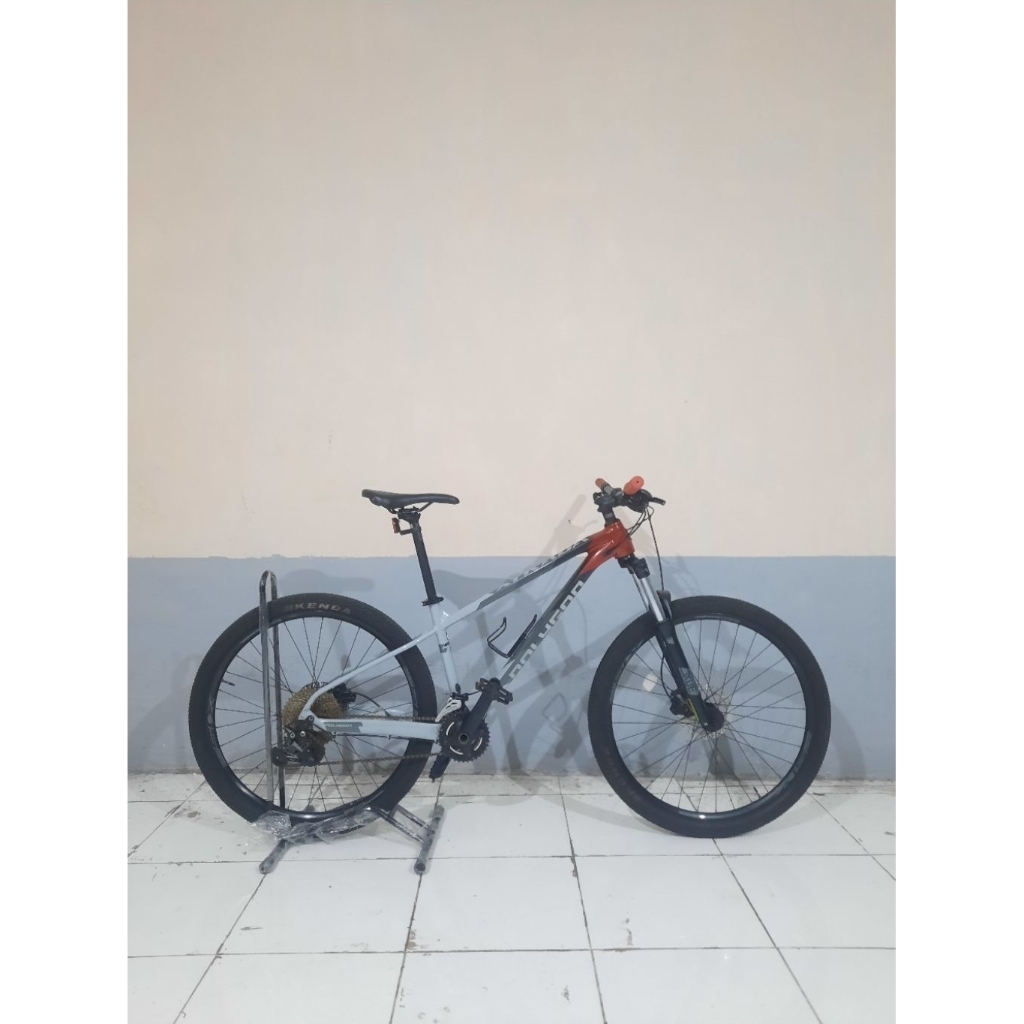 POLYGON XTRADA 5 TAHUN 2022