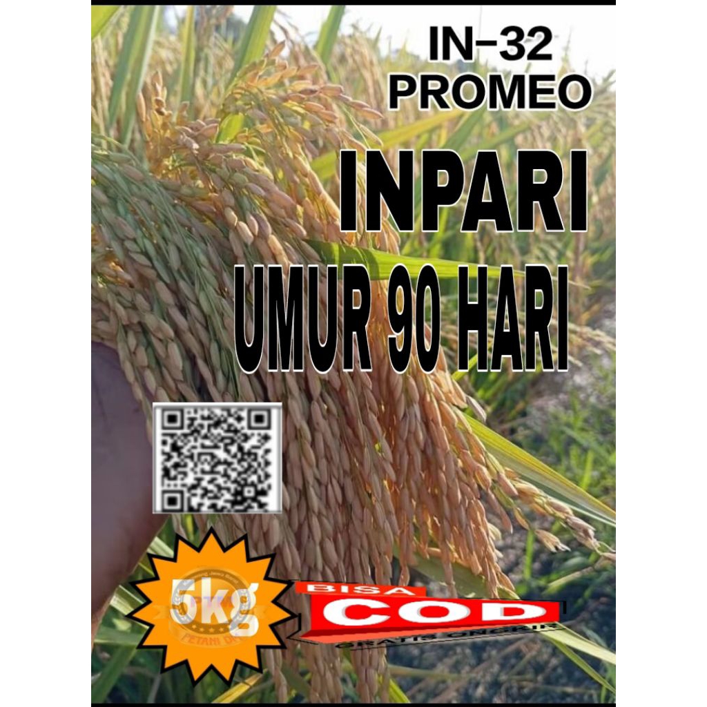 BENIH PADI INPARI 32 PROMEO KEMASAN 5KG