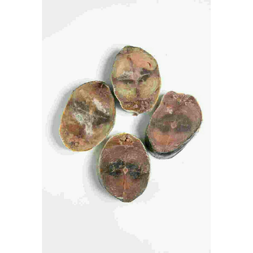 ikan tongkol potong frozen 1kg / tongkol potong fresh segar beku