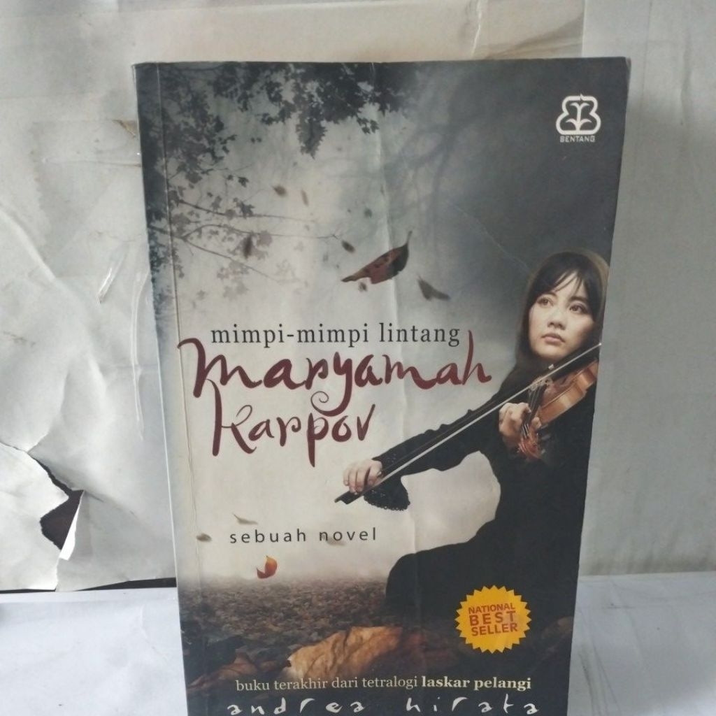 Novel Mimpi mimpi lintang