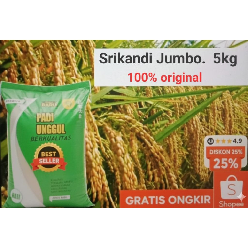 benih padi unggil  srikandi jumbo  5kg kualitas original