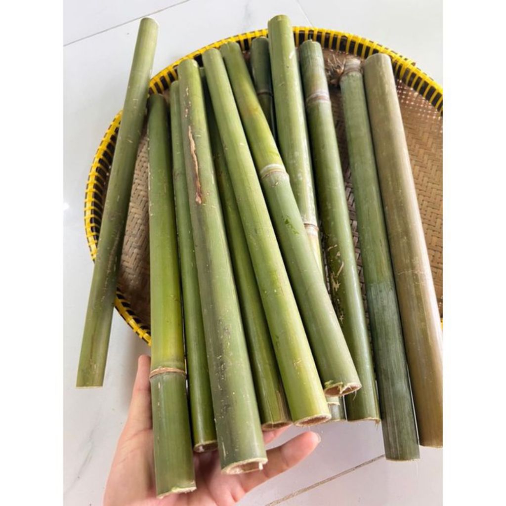 Bambu tamiang bahan layang layang panjang 60 cm