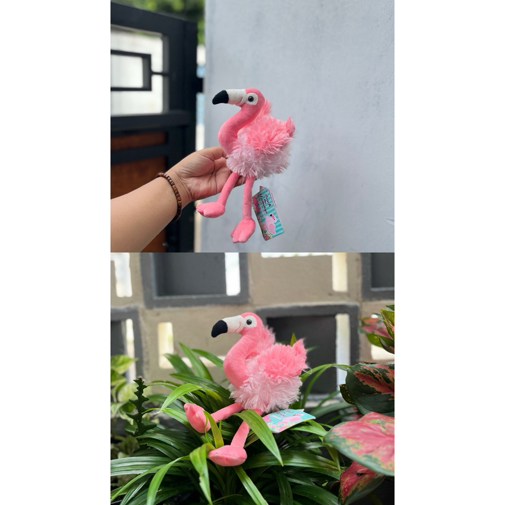 Flamingo Amuse,Ganci Amuse Amufun
