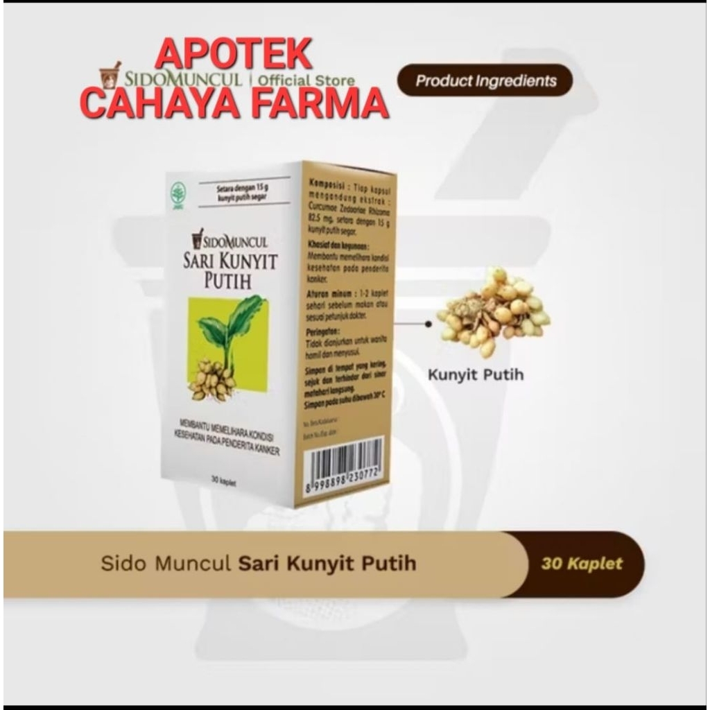 sidomuncul kunyit putih