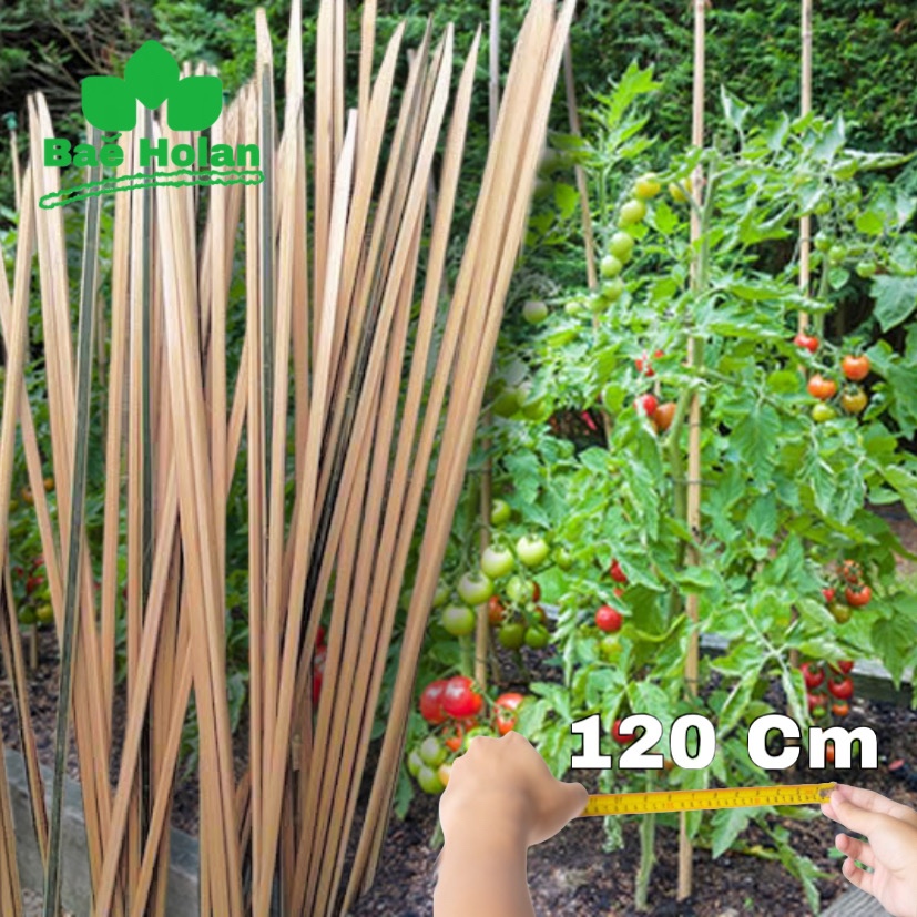 Bilah Bambu Ajir Tanaman Penyangga 1m