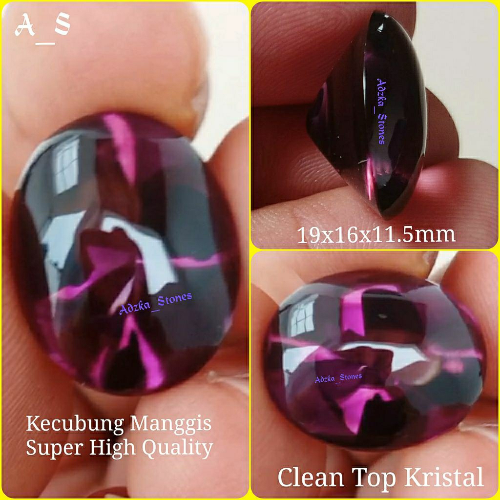 Kecubung Ungu Manggis Super High Quality
