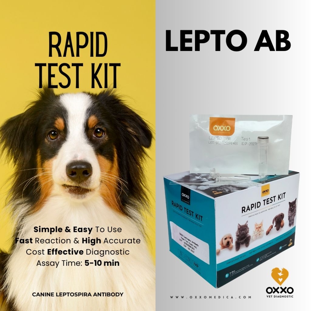 10 PCS TEST KIT LEPTO Ab Rapid test kit/Canine Leptospira Antibody/Pet Care/Canine Rapid Test/Test C