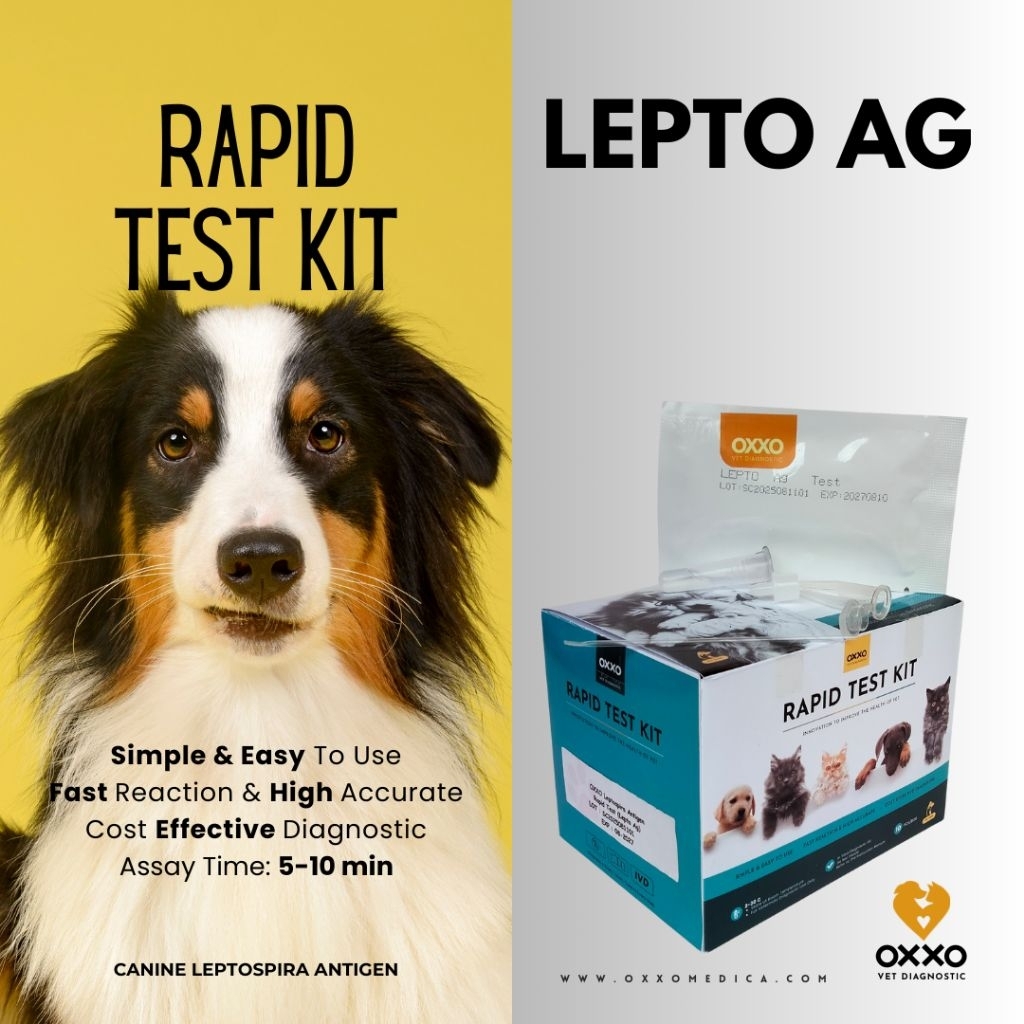 10 TEST KIT LEPTO Ag Rapid Test Kit/Canine Leptospira Antigen/Pet Care/Canine Rapid Test/Test Cepat 