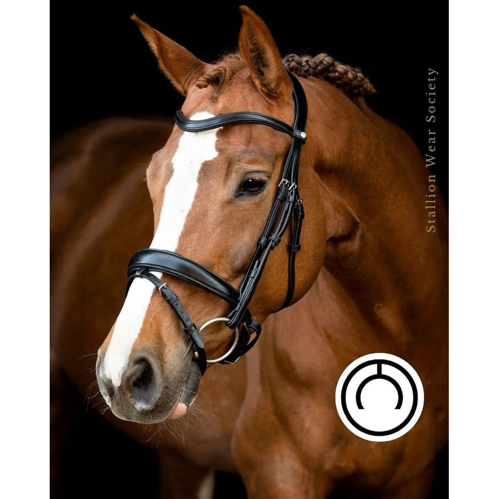 MONTAR BRIDLE NORMANDIE ORGANIC TANNED BRIDLE BERKUDA