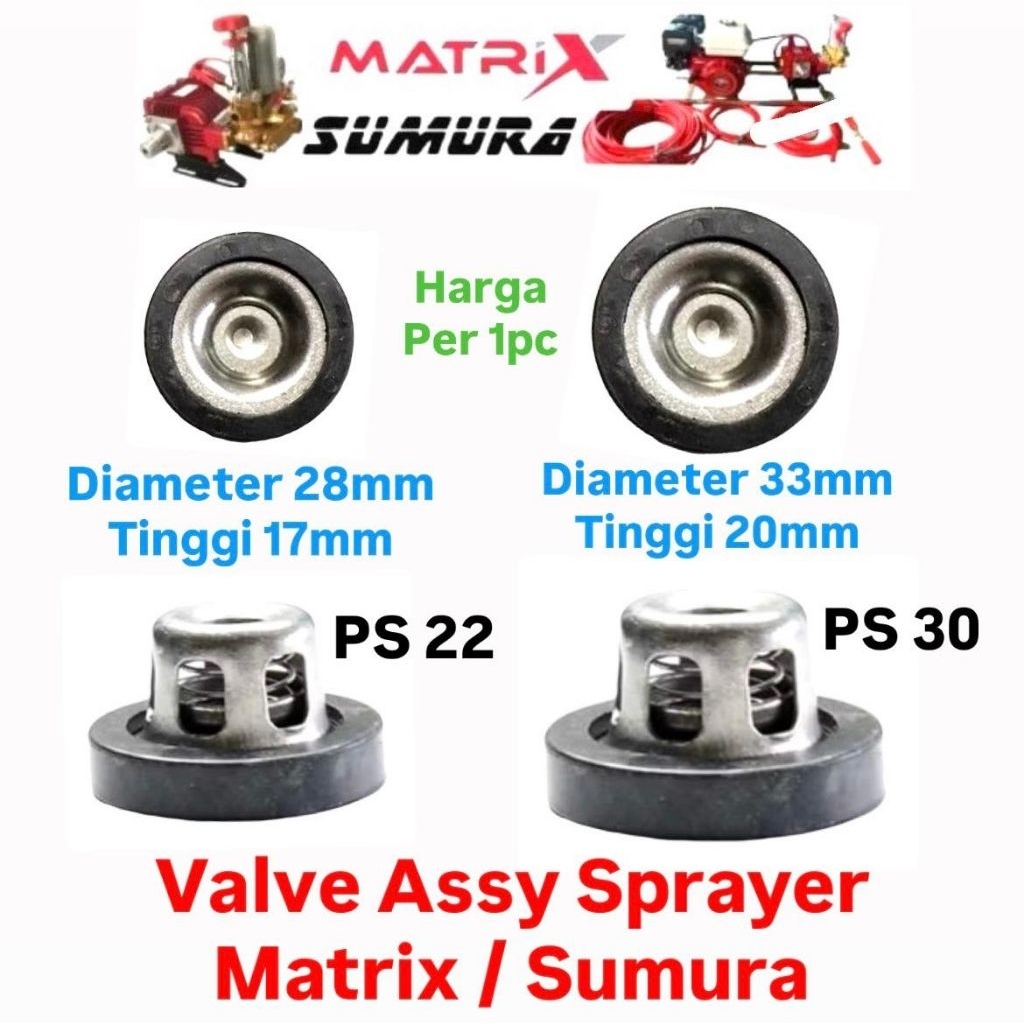Valve Assy Sprayer Matrix PS22 PS30 STAINLESS VALVE
