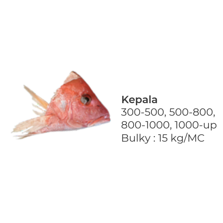 Kepala Kakap Merah Frozen 1KG