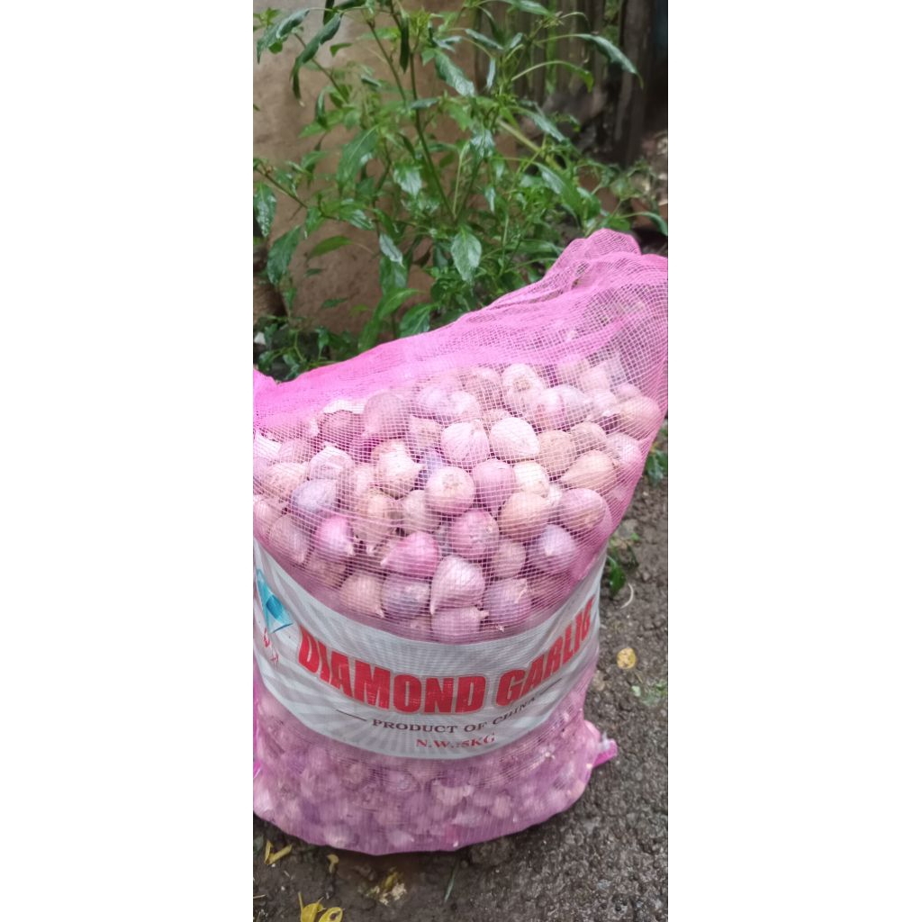 Bawang Lanang, Bawang tunggal 1kg