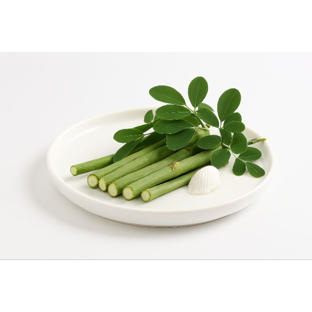 Stek Pohon Kelor | Daun Kelor | Bubuk Daun Kelor